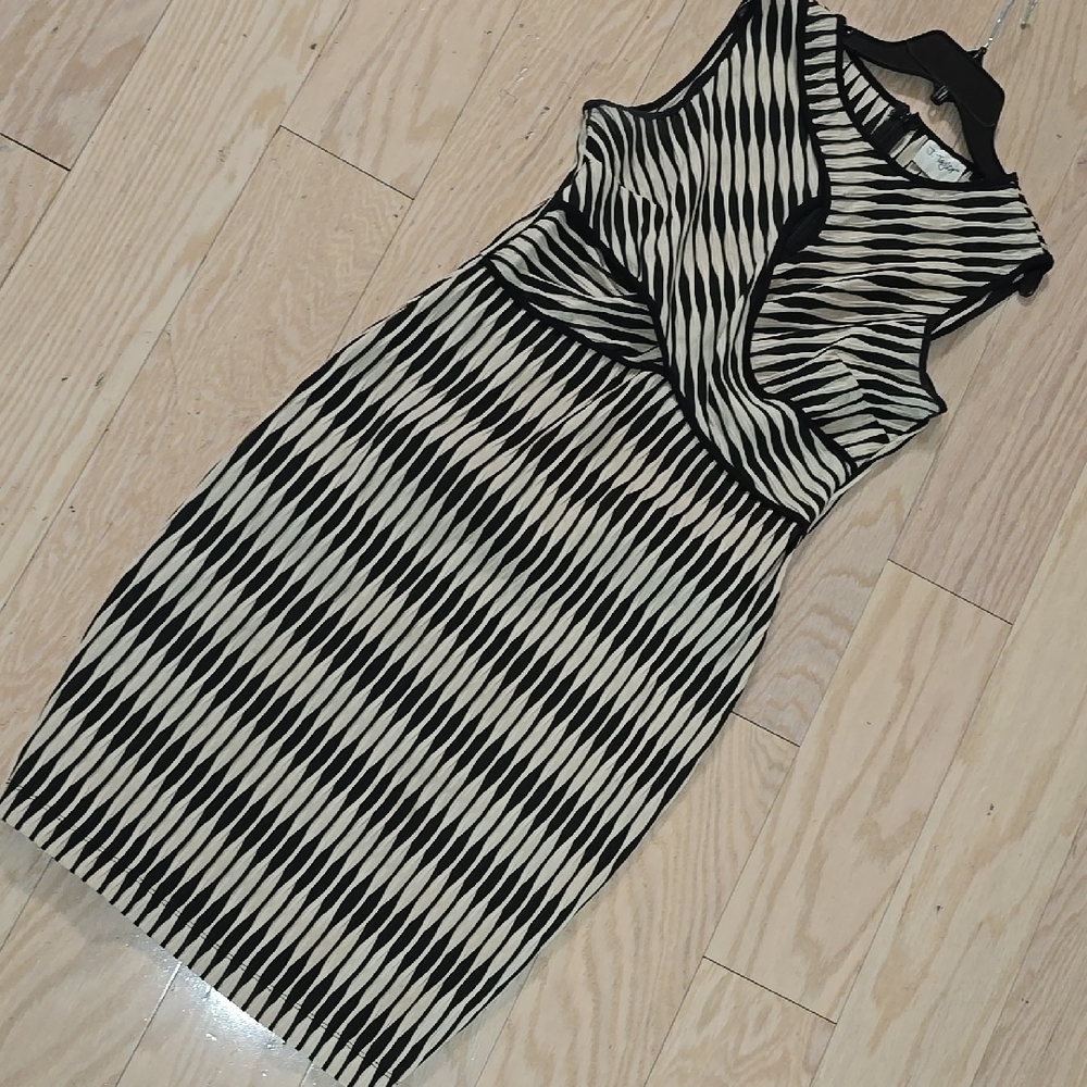 Black and White Striped Dress